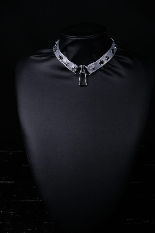 Silver Zip - 图片 4