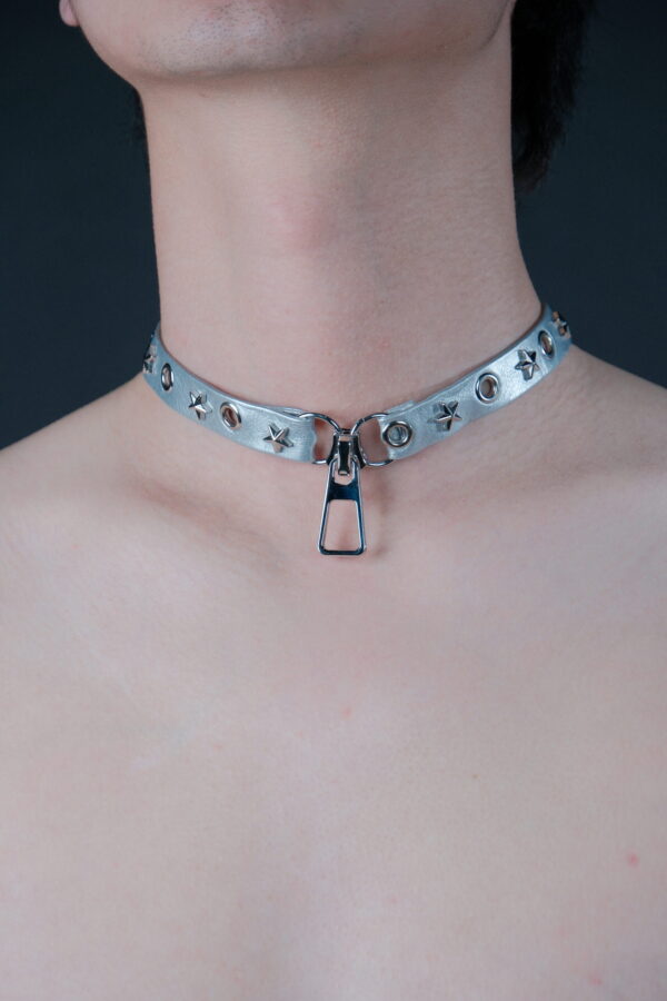 Silver Zip